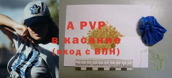 PSILOCYBIN Медвежьегорск