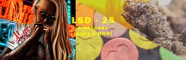 PSILOCYBIN Медвежьегорск