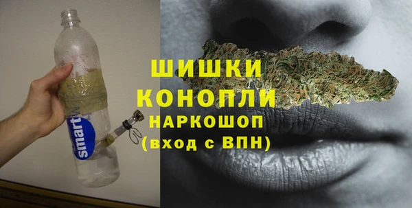Альфа ПВП Гатчина