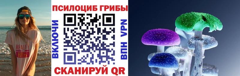 ОМГ ОМГ ТОР  дарнет шоп  Нерехта  Галлюциногенные грибы Psilocybe 